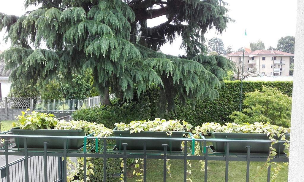 Affittacamere Giudici Lentate sul Seveso Exterior foto
